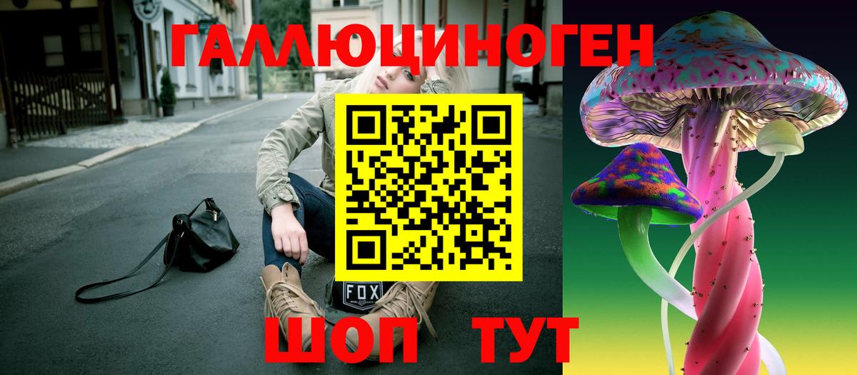 Дзержинск  Галлюциногенные грибы прущие грибы  Вход с VPN 