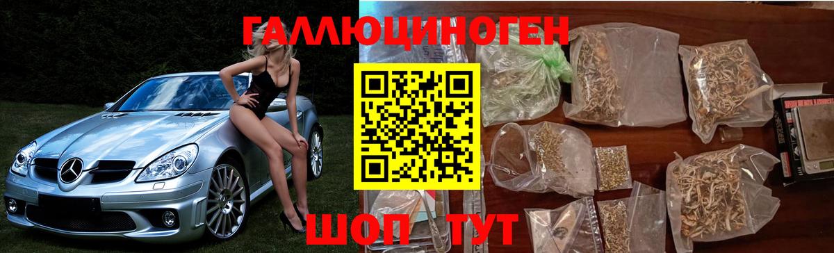 Псилоцибиновые грибы GOLDEN TEACHER Дзержинск